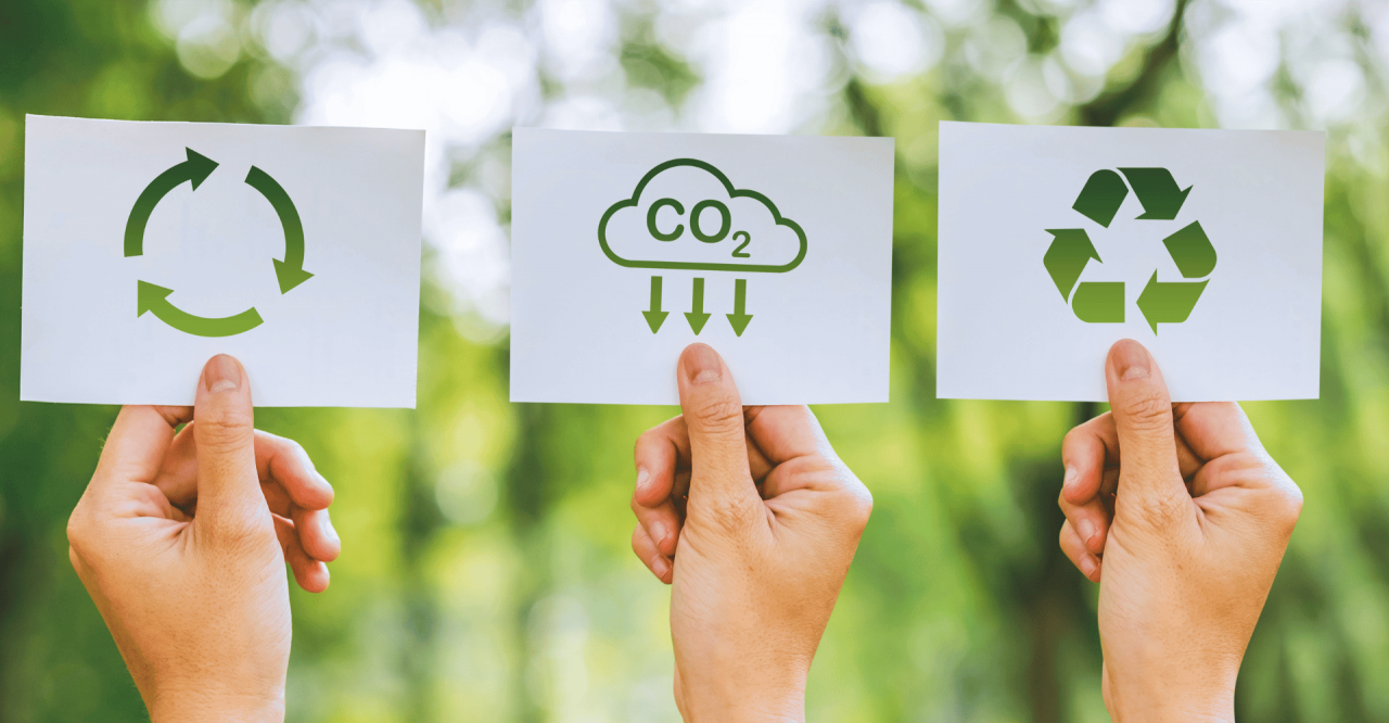 Agricultura sostenible: El único futuro de la agricultura