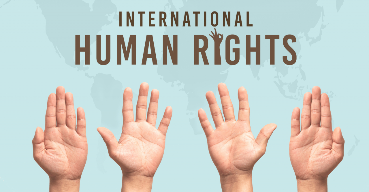 Organizaciones de Derechos Humanos y no Gubernamentales