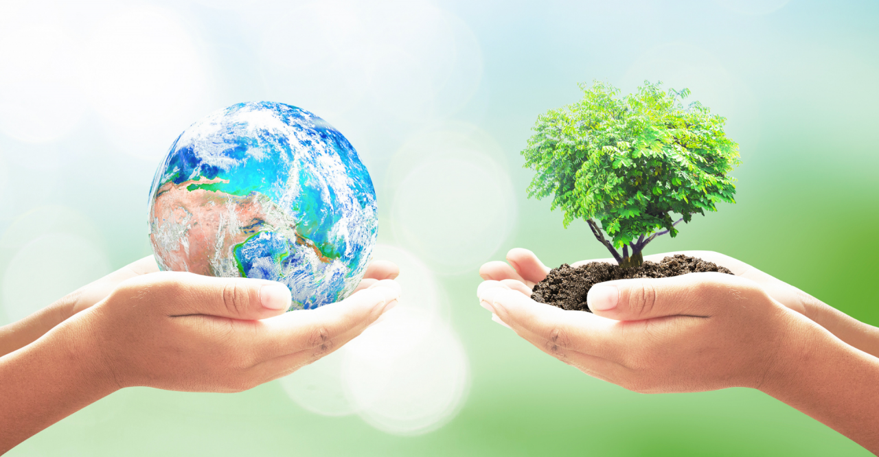 ¿Qué es gestión ambiental?