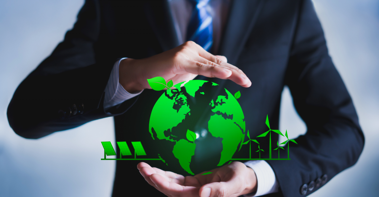 ¿Qué es un consultor ambiental?