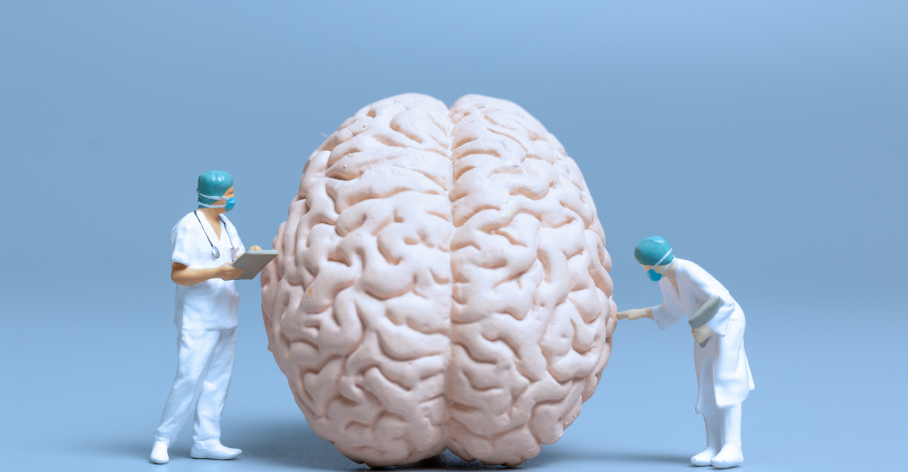 ¿Hasta qué edad se desarrolla el cerebro?